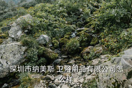  深圳市納美斯 衛(wèi)浴用品有限公司怎么樣