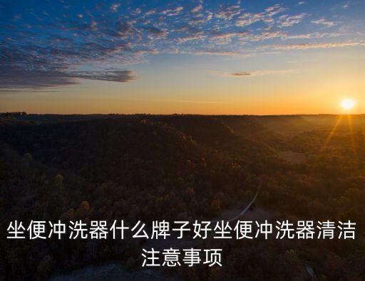 坐便沖洗器什么牌子好坐便沖洗器清潔注意事項