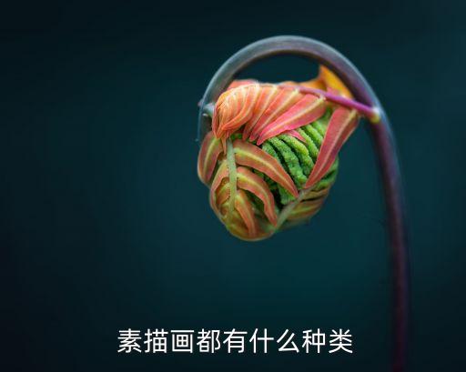  素描畫都有什么種類