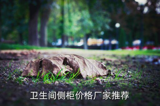 15平米廚房衛(wèi)浴柜圖片