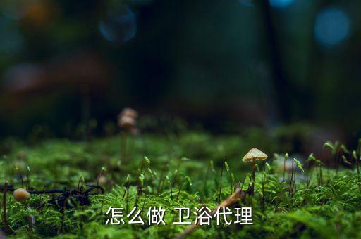 怎么做 衛(wèi)浴代理