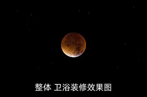 整體 衛(wèi)浴裝修效果圖