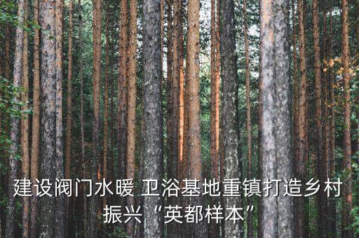 建設(shè)閥門水暖 衛(wèi)浴基地重鎮(zhèn)打造鄉(xiāng)村振興“英都樣本”