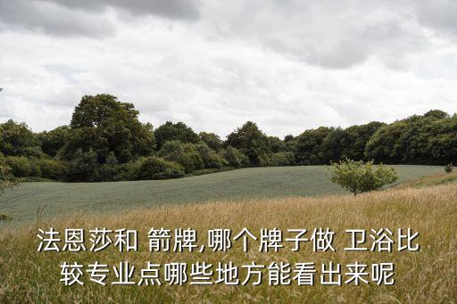 法恩莎和 箭牌,哪個(gè)牌子做 衛(wèi)浴比較專業(yè)點(diǎn)哪些地方能看出來呢