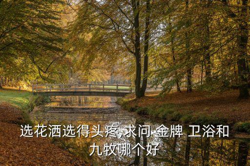 選花灑選得頭疼,求問(wèn) 金牌 衛(wèi)浴和九牧哪個(gè)好