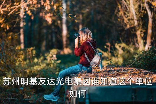 蘇州明基友達(dá)光電集團(tuán)誰知道這個(gè)單位如何