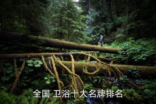 衛(wèi)浴哪個品牌做得好知乎,樂家衛(wèi)浴是哪個國家的品牌