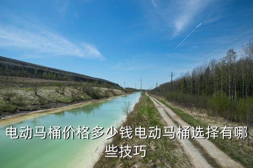 電動(dòng)馬桶價(jià)格多少錢電動(dòng)馬桶選擇有哪些技巧