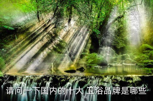 請問一下國內(nèi)的十大 衛(wèi)浴品牌是哪些