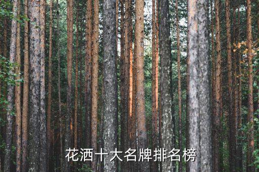  花灑十大名牌排名榜