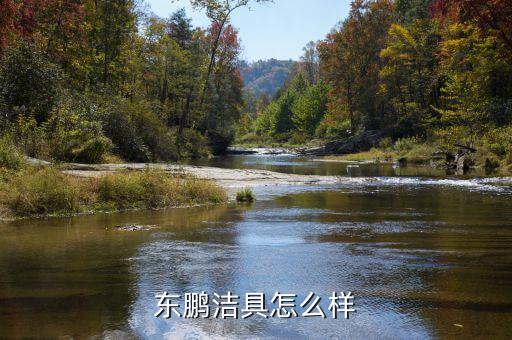東鵬潔具怎么樣
