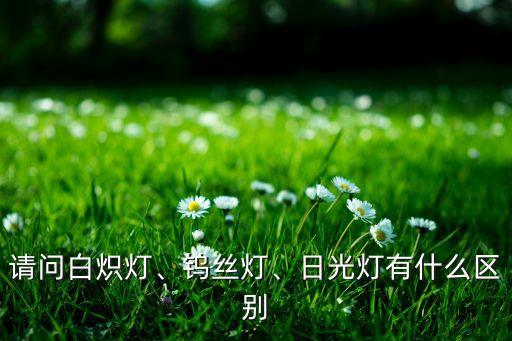 請問白熾燈、鎢絲燈、日光燈有什么區(qū)別