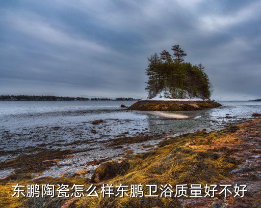 東鵬陶瓷怎么樣?xùn)|鵬衛(wèi)浴質(zhì)量好不好