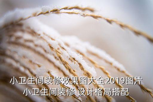 小衛(wèi)生間裝修效果圖大全2019圖片小衛(wèi)生間裝修 設(shè)計(jì)格局搭配