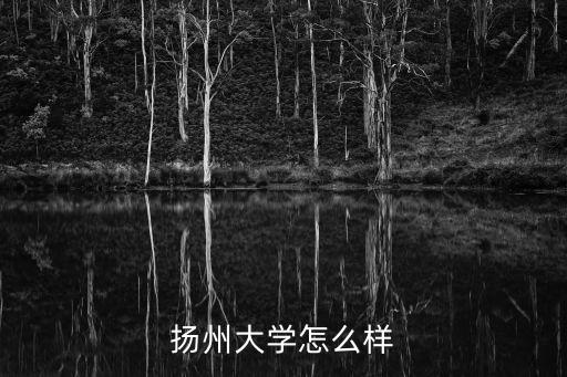 揚州大學(xué)怎么樣