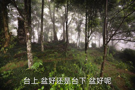 臺(tái)上 盆好還是臺(tái)下 盆好呢