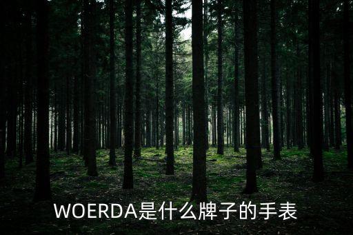 WOERDA是什么牌子的手表