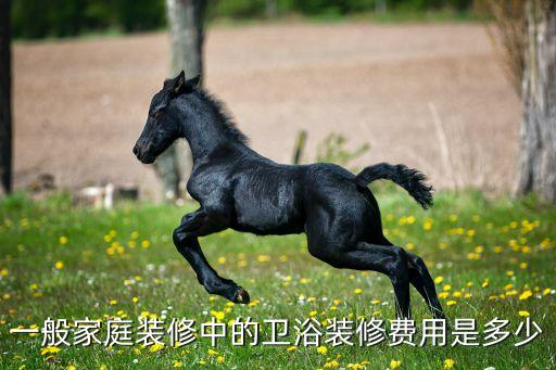 一般家庭裝修中的衛(wèi)浴裝修費(fèi)用是多少