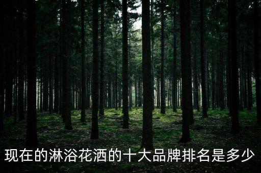 現(xiàn)在的淋浴花灑的十大品牌排名是多少