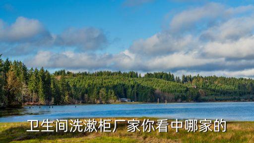 衛(wèi)生間洗漱柜廠家你看中哪家的