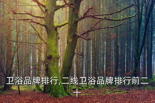 老牌衛(wèi)浴品牌排行,二線衛(wèi)浴品牌排行前二十