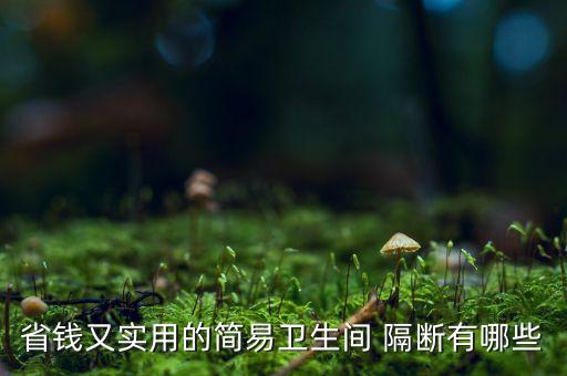 省錢又實用的簡易衛(wèi)生間 隔斷有哪些