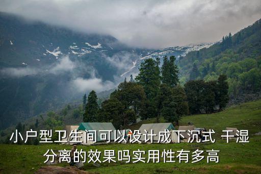 小戶型衛(wèi)生間可以設(shè)計(jì)成下沉式 干濕 分離的效果嗎實(shí)用性有多高