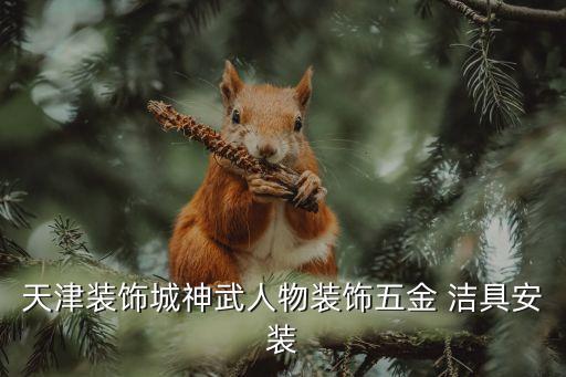 天津裝飾城神武人物裝飾五金 潔具安裝