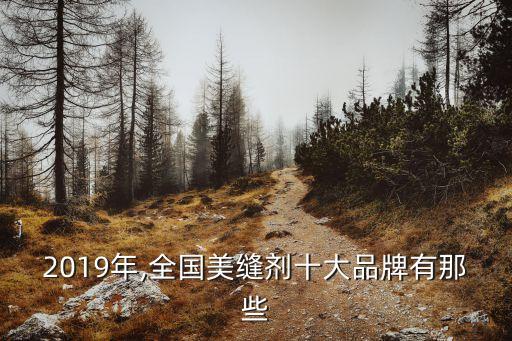 2019年,全國(guó)美縫劑十大品牌有那些