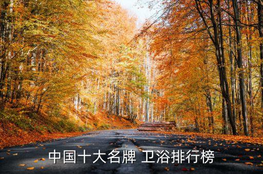 中國十大名牌 衛(wèi)浴排行榜