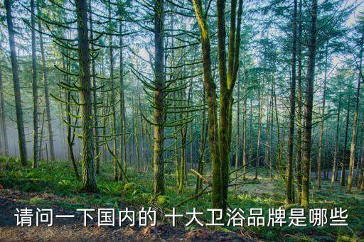 請問一下國內(nèi)的 十大衛(wèi)浴品牌是哪些