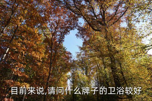 目前來(lái)說(shuō),請(qǐng)問什么牌子的衛(wèi)浴較好