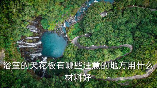 浴室的天花板有哪些注意的地方用什么材料好