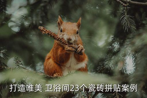 衛(wèi)浴間花樣圖片大全圖
