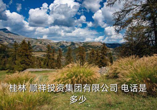 桂林 順祥投資集團(tuán)有限公司 電話是多少