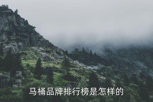 馬桶品牌排行榜是怎樣的
