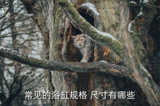 常見的浴缸規(guī)格 尺寸有哪些