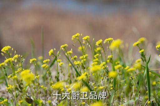 十大廚衛(wèi)品牌