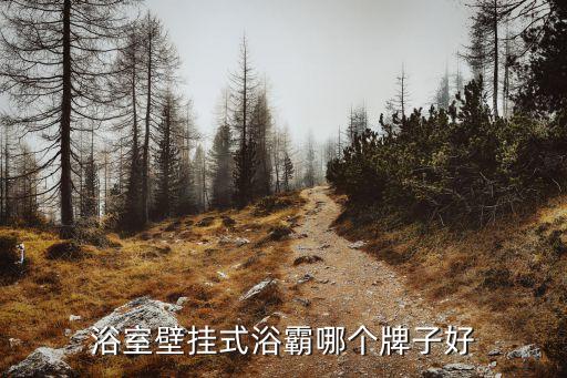 浴室壁掛式浴霸哪個(gè)牌子好