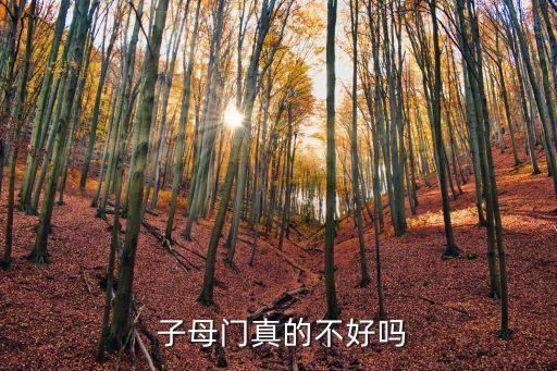 衛(wèi)浴門子母門圖片,生態(tài)門子母門圖片大全