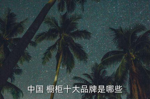 中國(guó) 櫥柜十大品牌是哪些