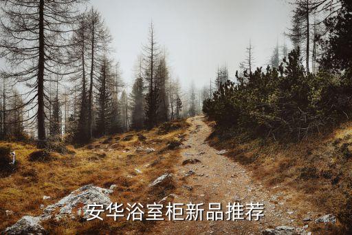 怎么加盟安華衛(wèi)浴品牌,安華衛(wèi)浴品牌排行榜前十名嗎