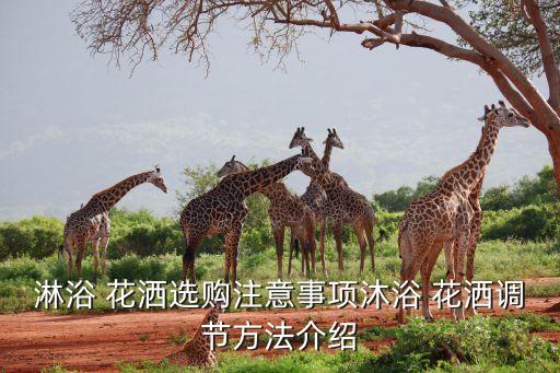 裝修衛(wèi)浴花灑效果圖片視頻,衛(wèi)浴店的裝修效果圖片