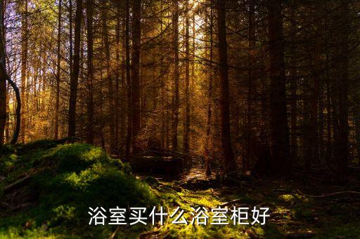 浴室買什么浴室柜好