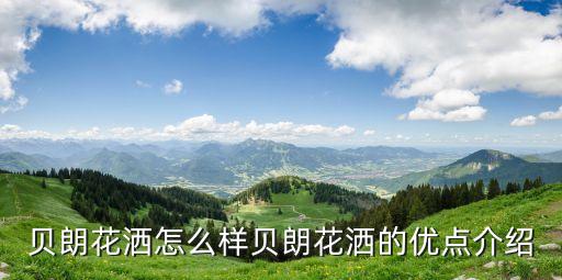 佛山貝朗衛(wèi)浴是幾線品牌