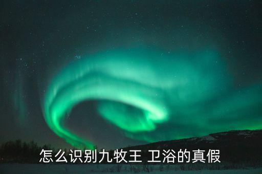 怎么識別九牧王 衛(wèi)浴的真假