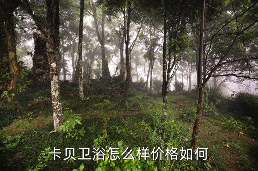 卡貝衛(wèi)浴怎么樣價格如何