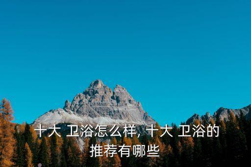 十大 衛(wèi)浴怎么樣, 十大 衛(wèi)浴的推薦有哪些