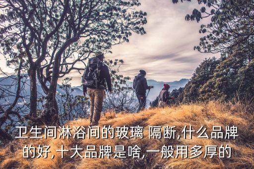 衛(wèi)生間淋浴間的玻璃 隔斷,什么品牌的好,十大品牌是啥,一般用多厚的