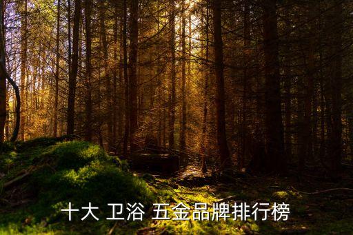 十大 衛(wèi)浴 五金品牌排行榜